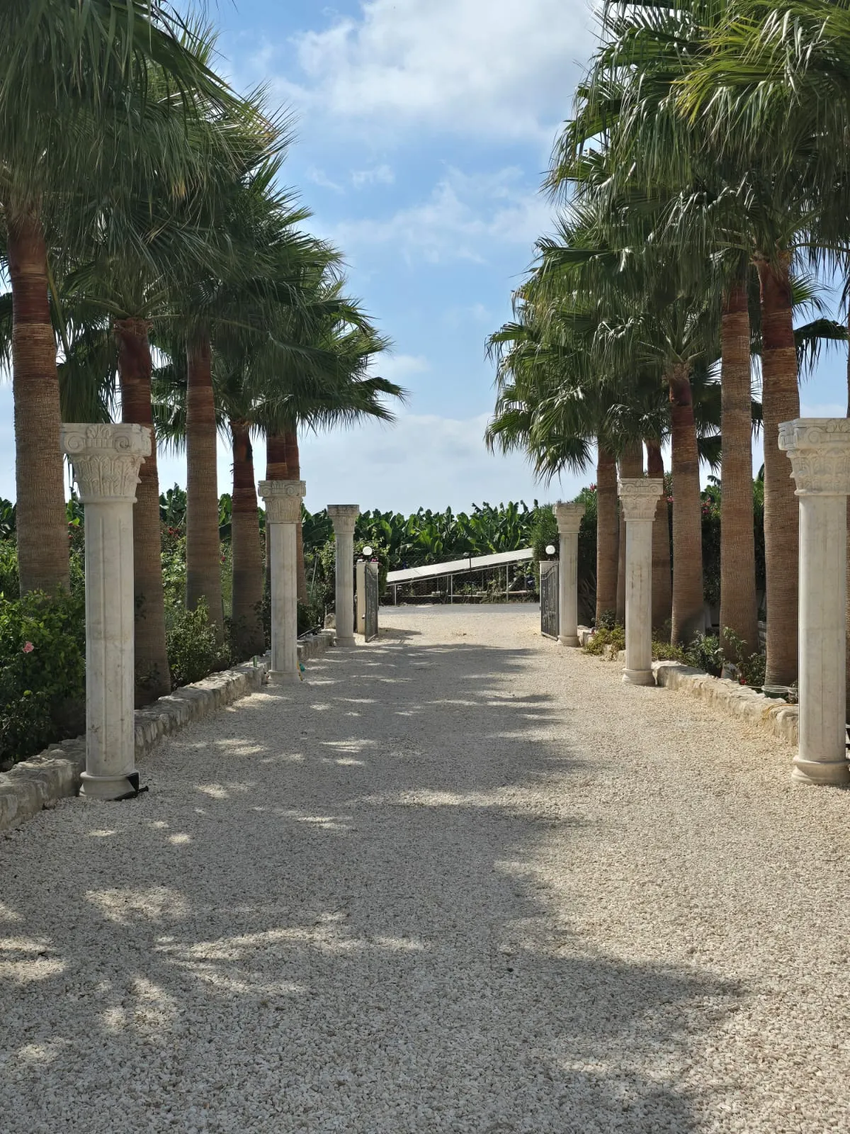 Driveway colonnade of carved stone columns lined with palms