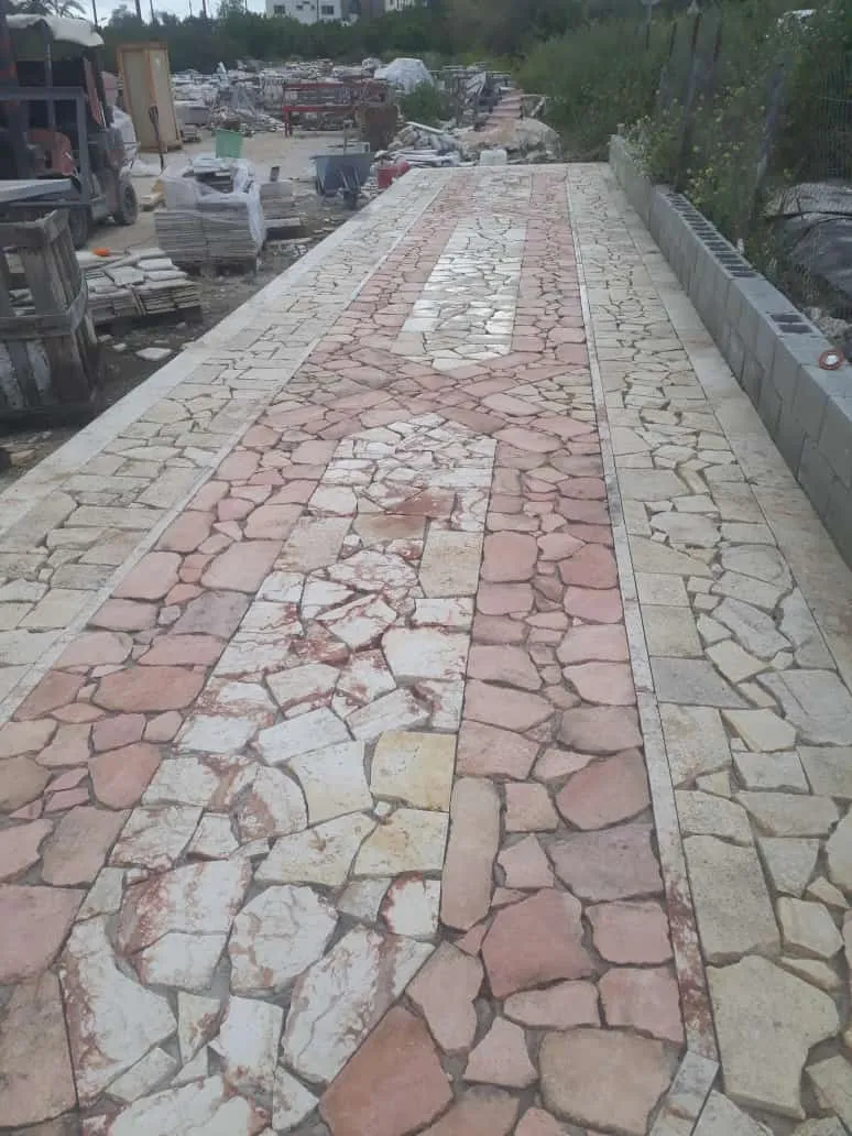 Crazy paving path with a patterned stone border